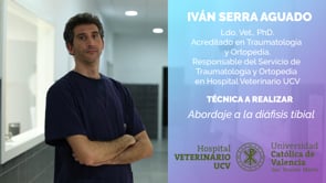 Abordaje a la diáfisis tibial