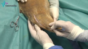 Abordaje lateral a la articulación de la rodilla