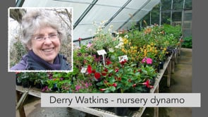 Derry Watkins - nursery dynamo