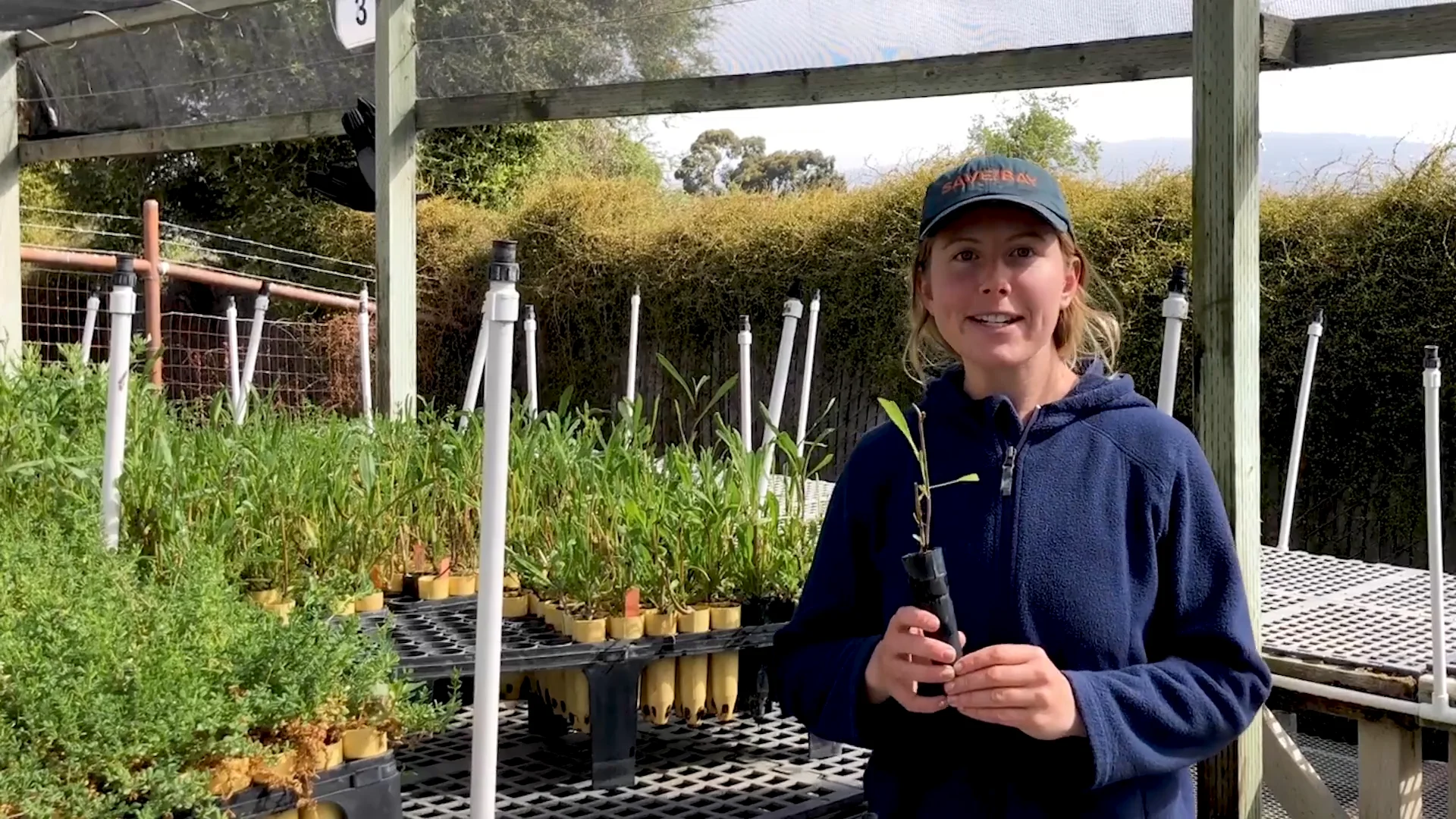 OLO: Native Nursery Tour