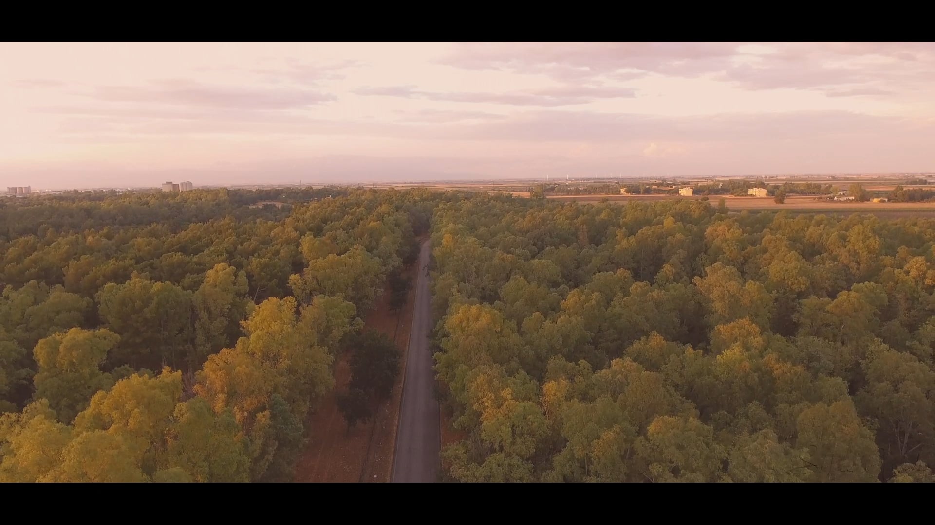 Nature and Sunset. on Vimeo