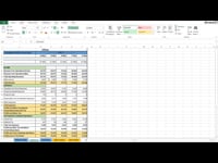 Income Statement Analysis