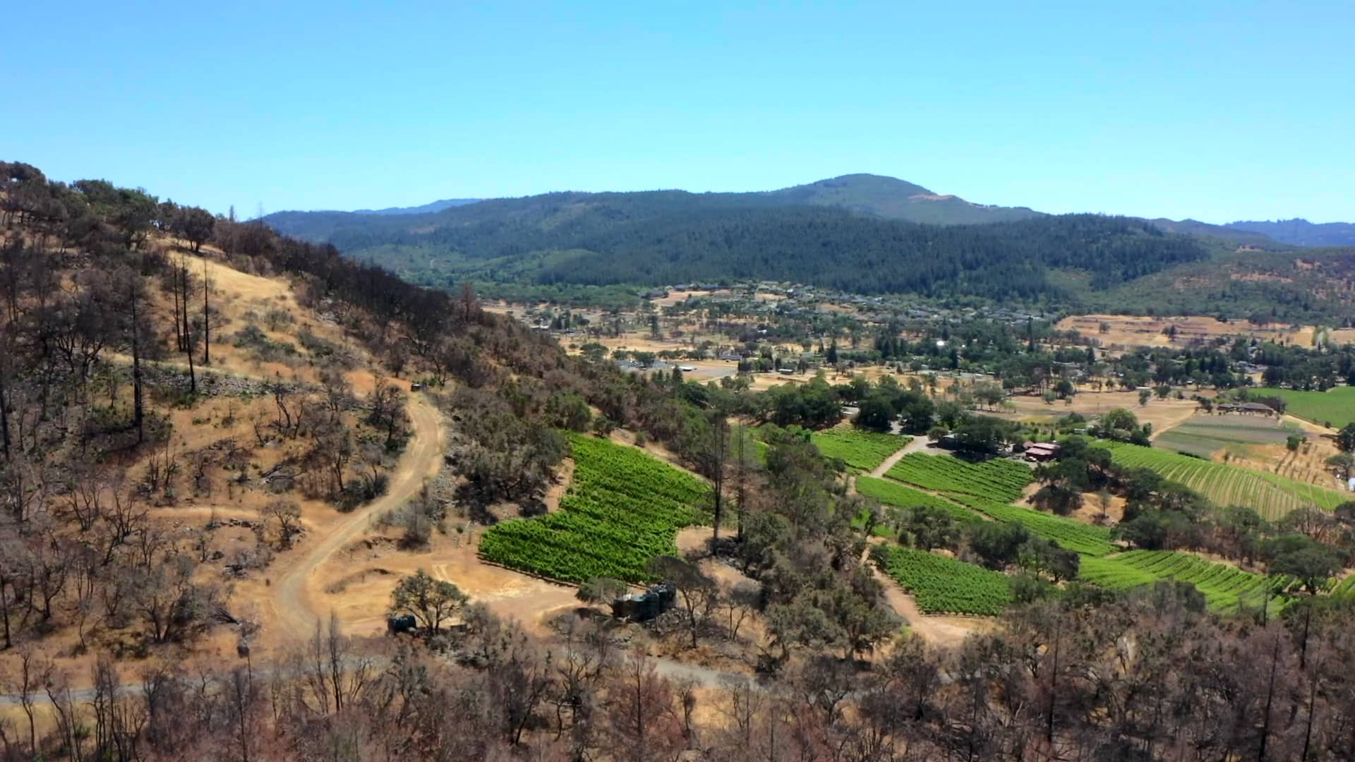 6295 Melita Road, Santa Rosa Teaser Presented by Jeffrey Earl