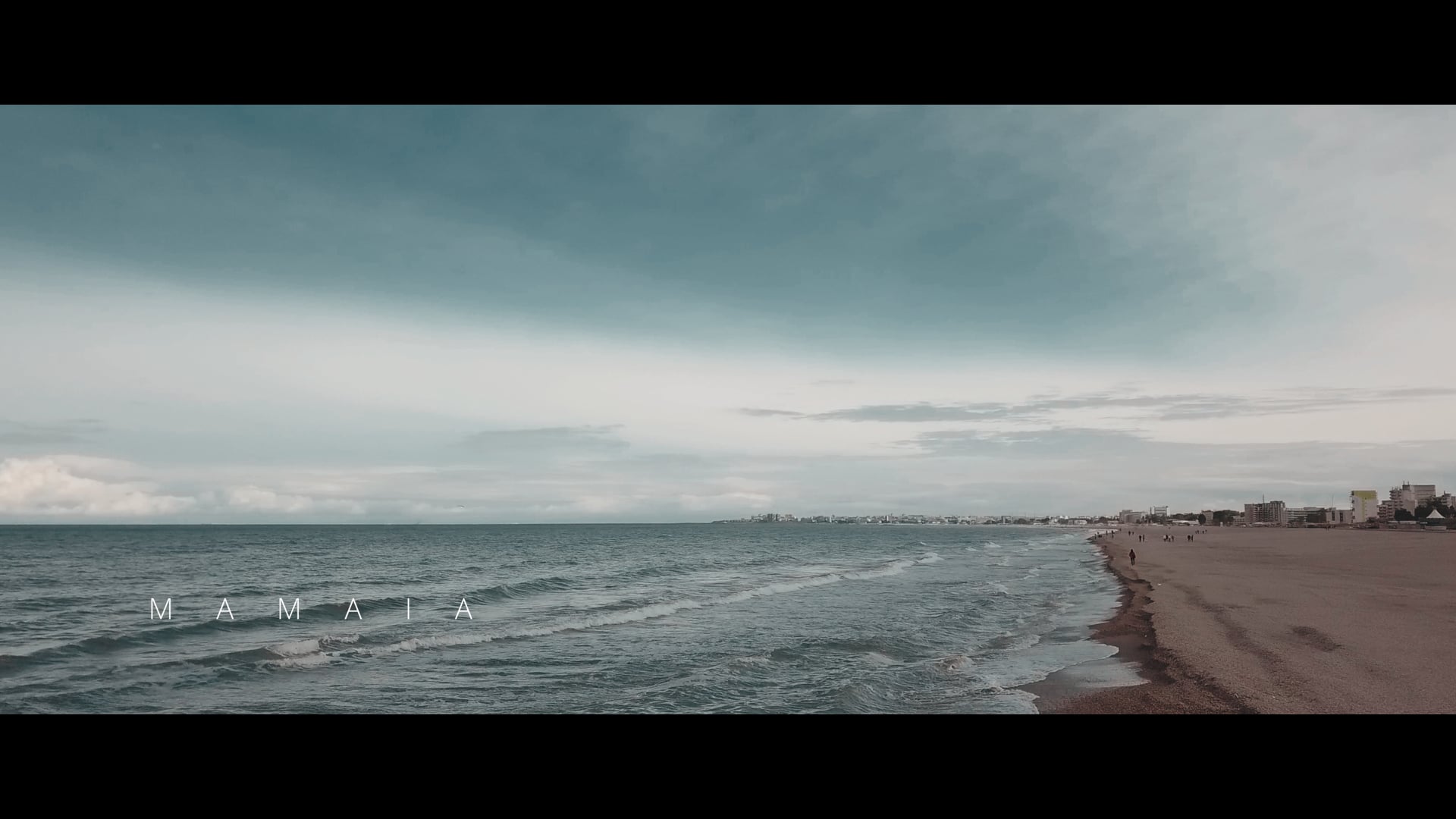 Sorin & Monica - Wedding Day