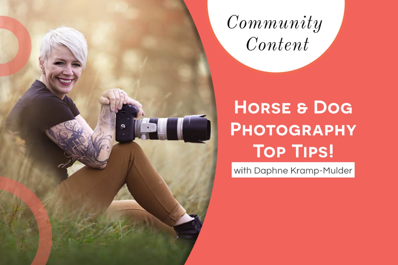 Horse & Dog Photography Top Tips! with Daphne Kramp-Mulder