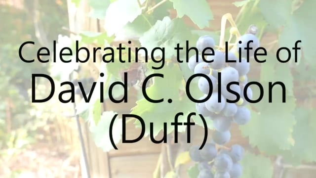 Video Placeholder image