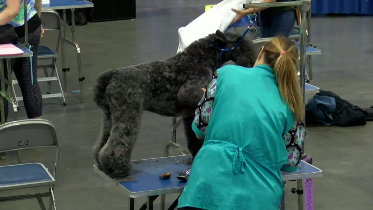 Atlanta Pet Fair & Conference on Vimeo