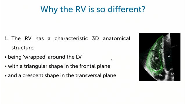 What is different in the right ventricle compared to the other chambers?