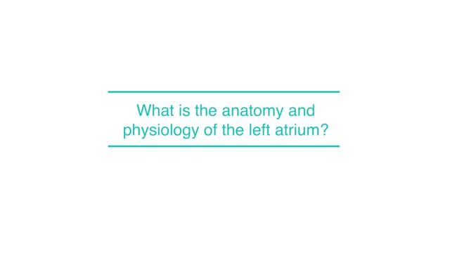 What is the anatomy and physiology of the left atrium?