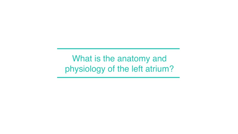 What is the anatomy and physiology of the left atrium?