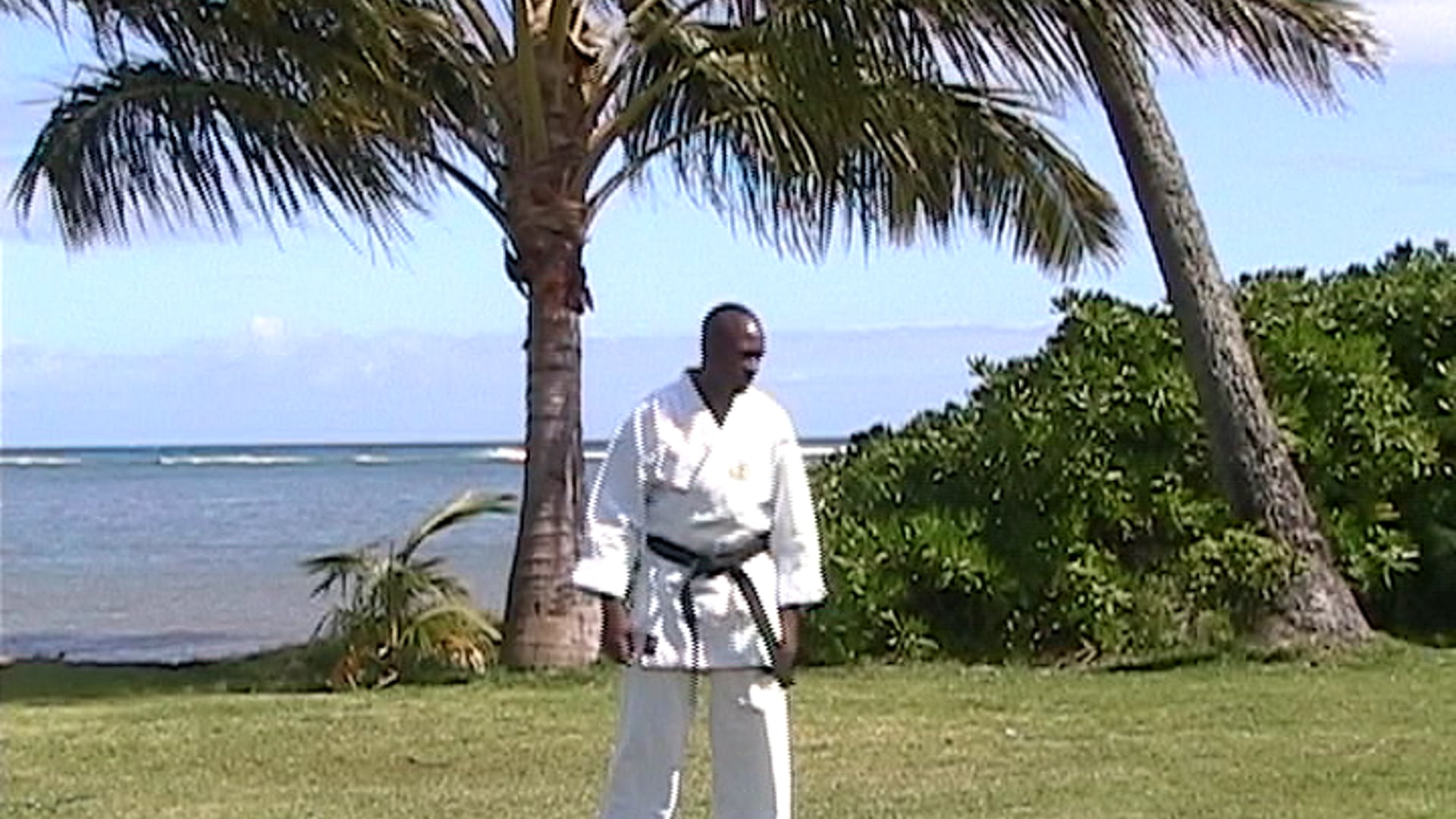 001 Hawaii kata