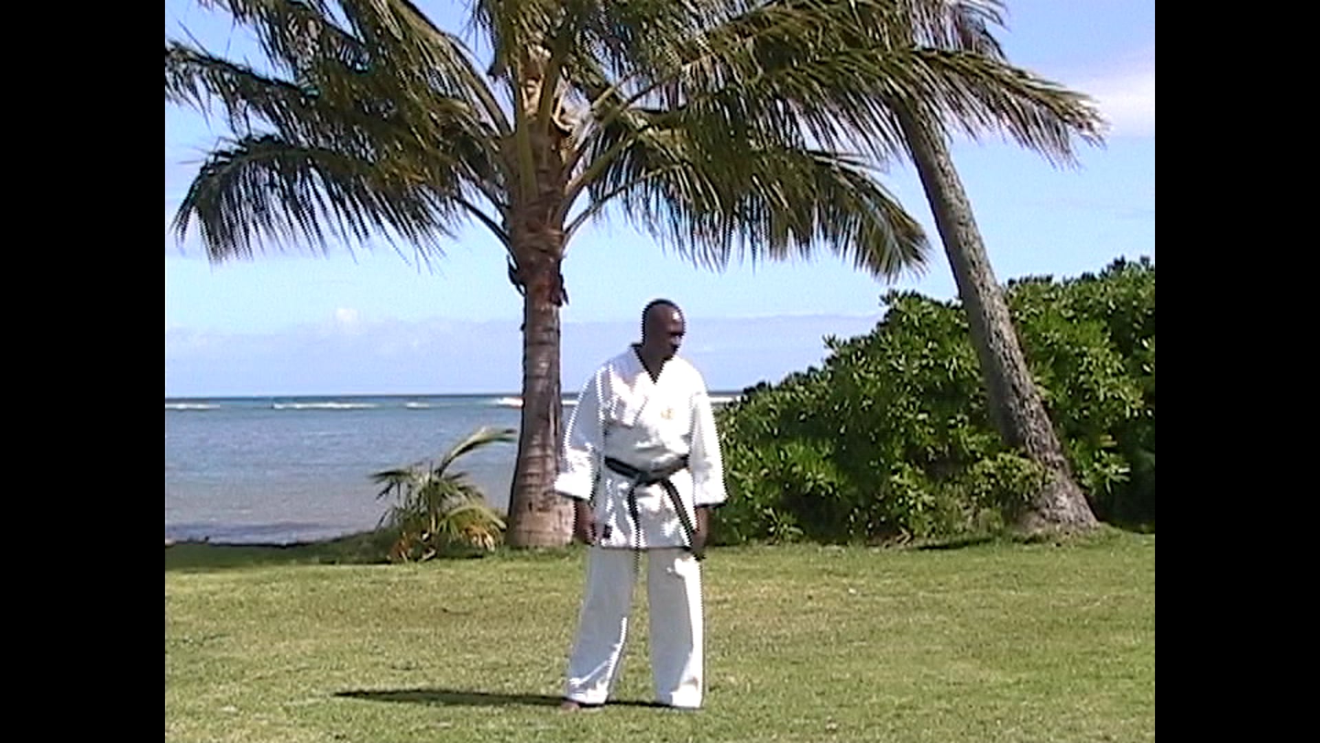 001 Hawaii kata