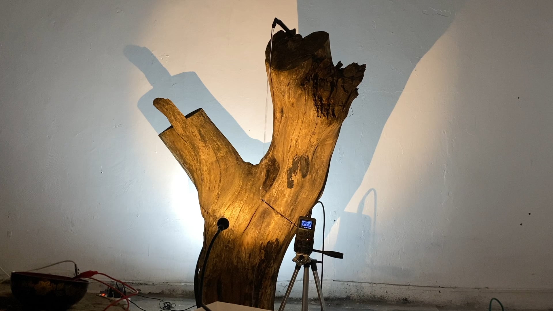 "Mapal" - Particle Exhibition