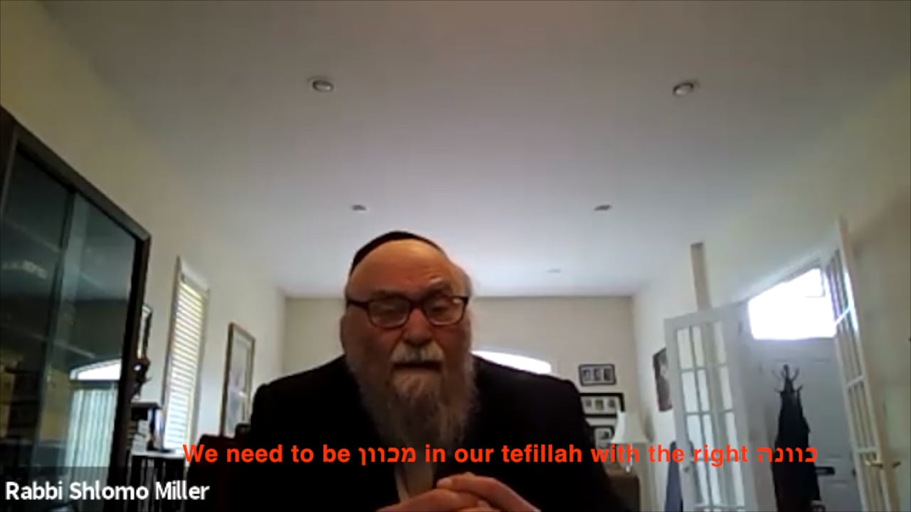 Rabbi Shlomo Miller שליט