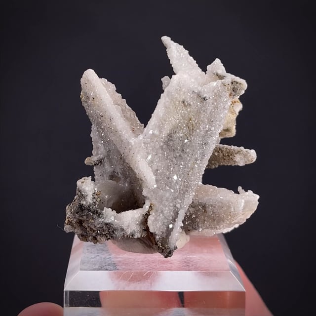 Anglesite on Cerussite