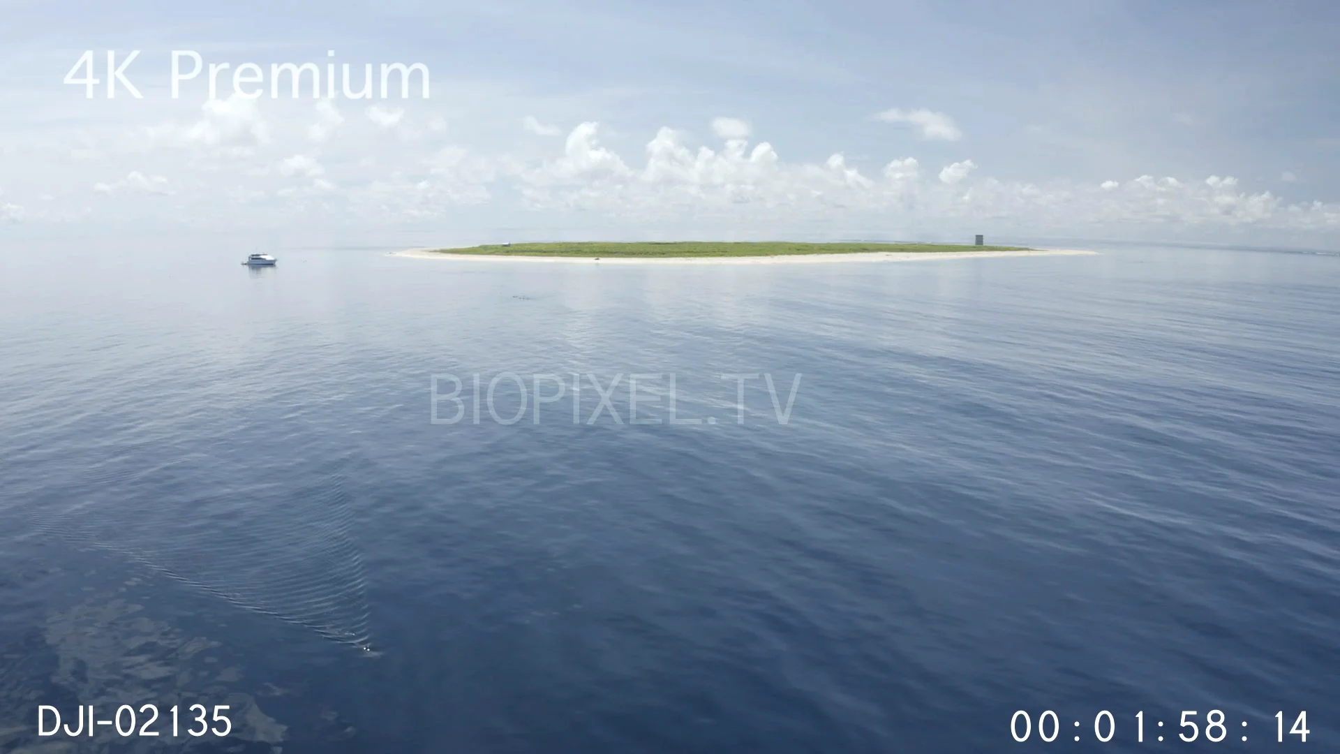 4K Islands Aerial Tiger shark Raine Island and Argo 4K on Vimeo