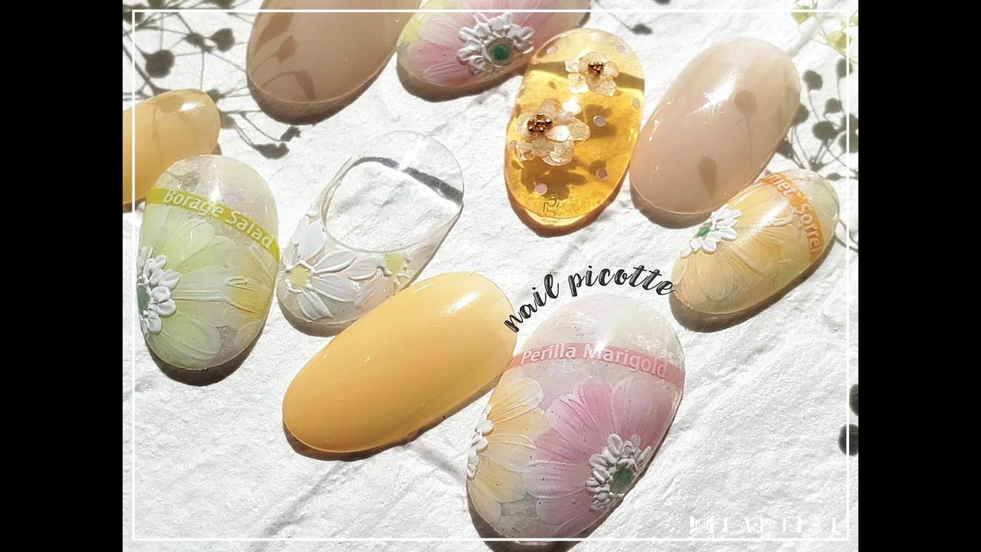 予告編動画のサムネイル画像