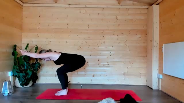 Monthly LIVE class - Centre