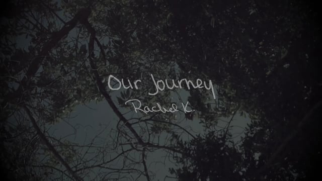 Creations of a Caged Bird - Vol. 2 - Our Journey