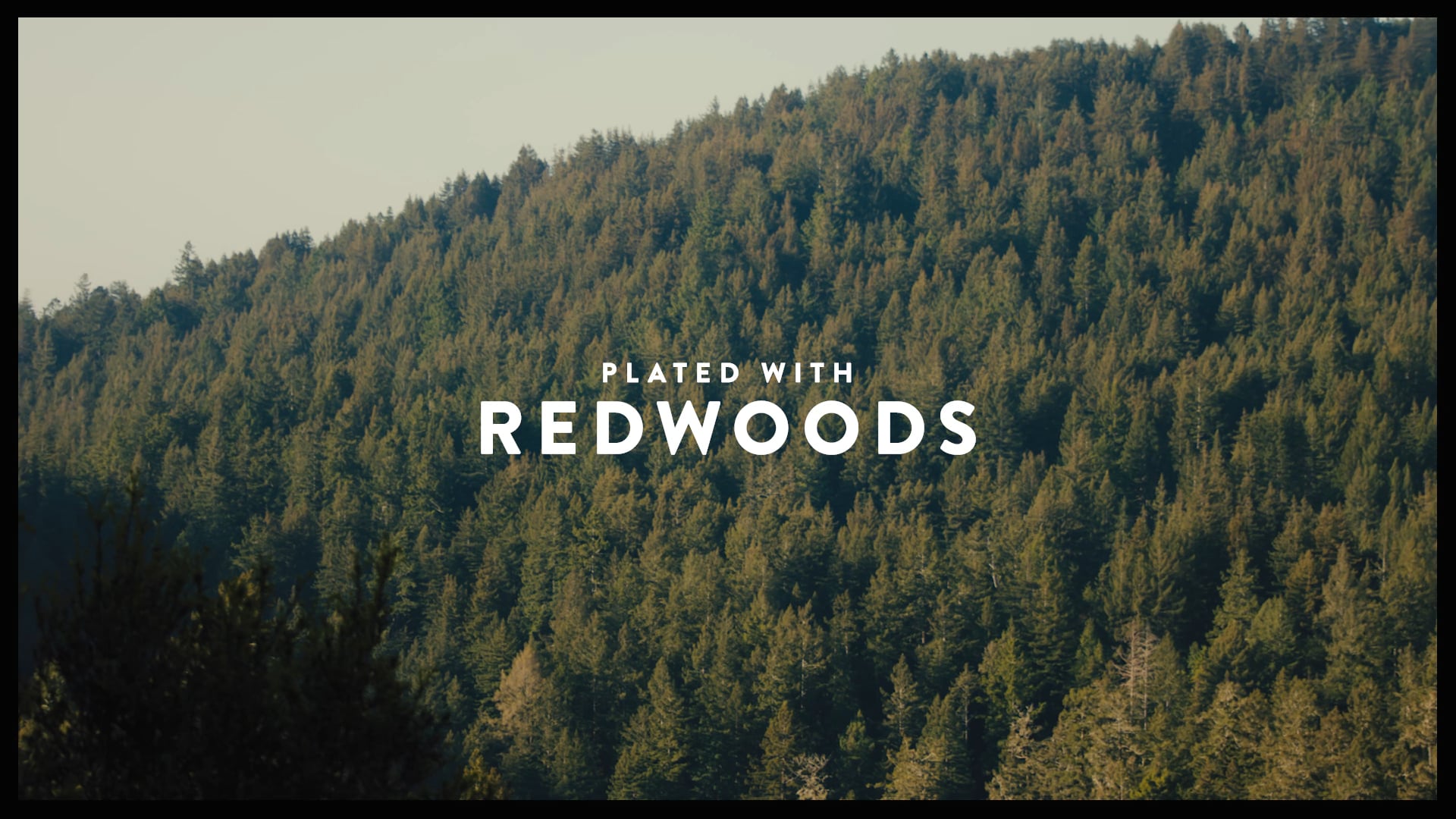 California Avocados | Plated with Henry Cowell Redwoods State Park
