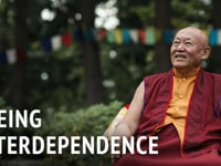 Drikung Chetsang Reinpoche on Interdependence