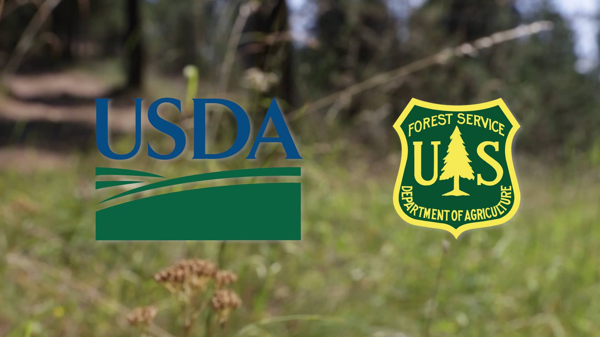 Umatilla Veterans CrewContinued Service Through Conservation on Vimeo