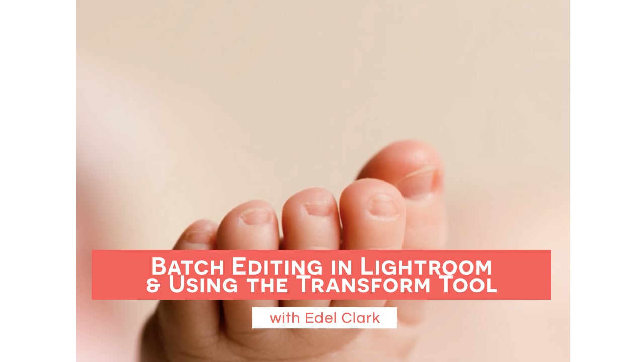Batch Editing in Lightroom & Using the Transform Tool
