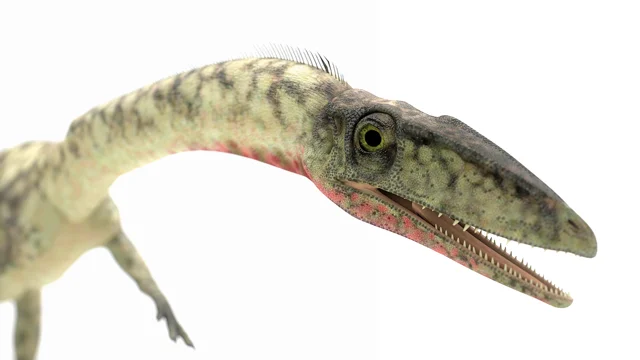 This Dinosaur Had a 50-Foot-Long Neck, Scientists Say