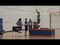 Preview Video #1