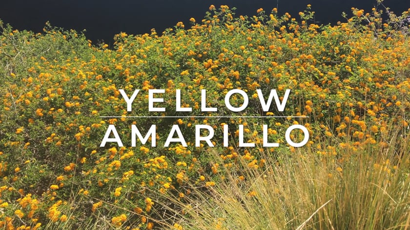 vimeo-video-thumbnail