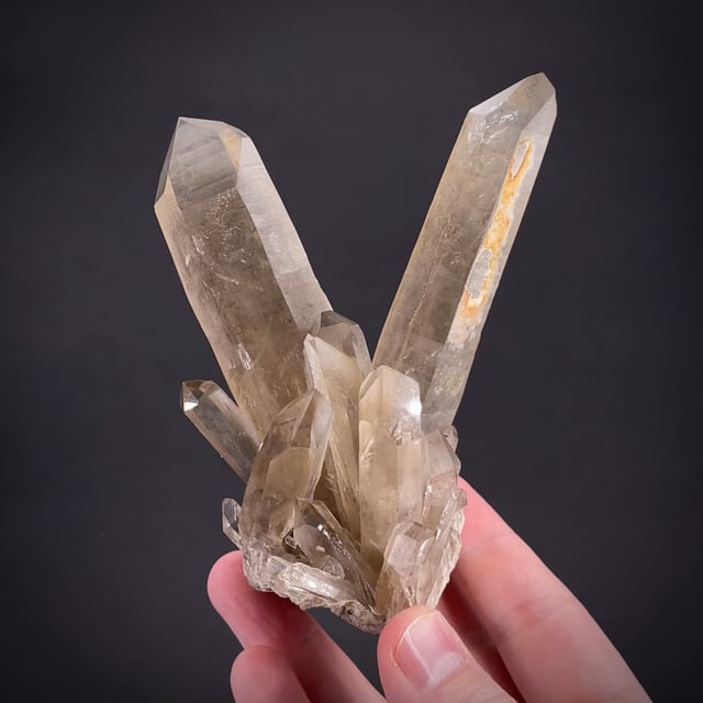 Large "rabbit ears" Smoky Quartz (Bob Reynolds Coll.)