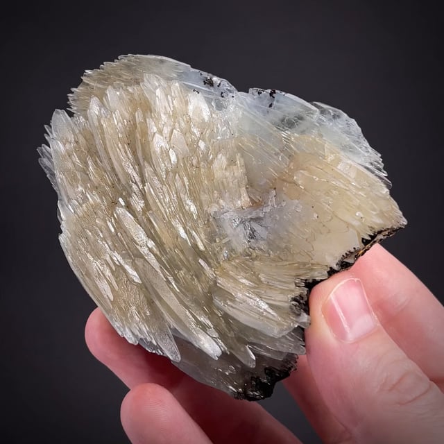 Baryte (Bob Reynolds Coll.)