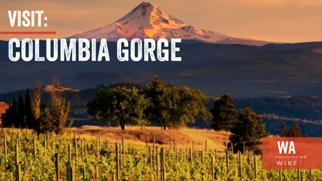 Columbia Gorge AVA - Washington State Wine Commission