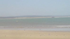 A Montage of Beautiful Things