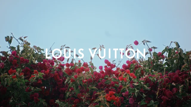 Louis Vuitton LV Squad Sunset Shoe Campaign