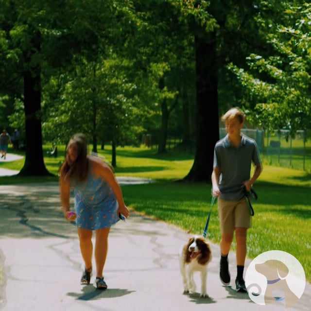 ZT_Park_ShortVersion_1080x1080_SO.mp4