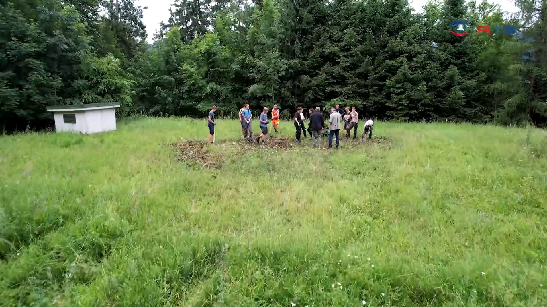 netzwerk-natur-in-salzburg-macht-oberalmer-almerberg-unkrautfrei