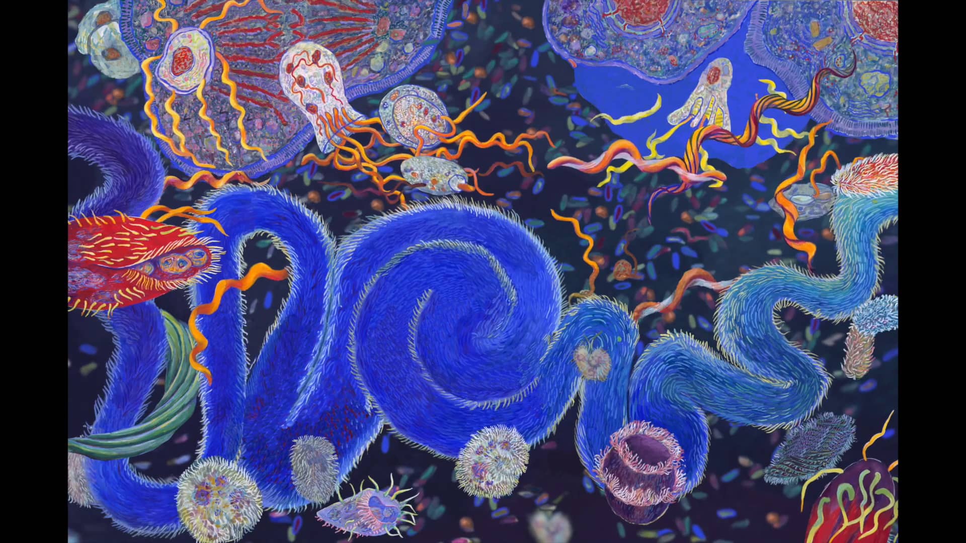 Endosymbiosis - Homage to Lynn Margulis.mp4 on Vimeo