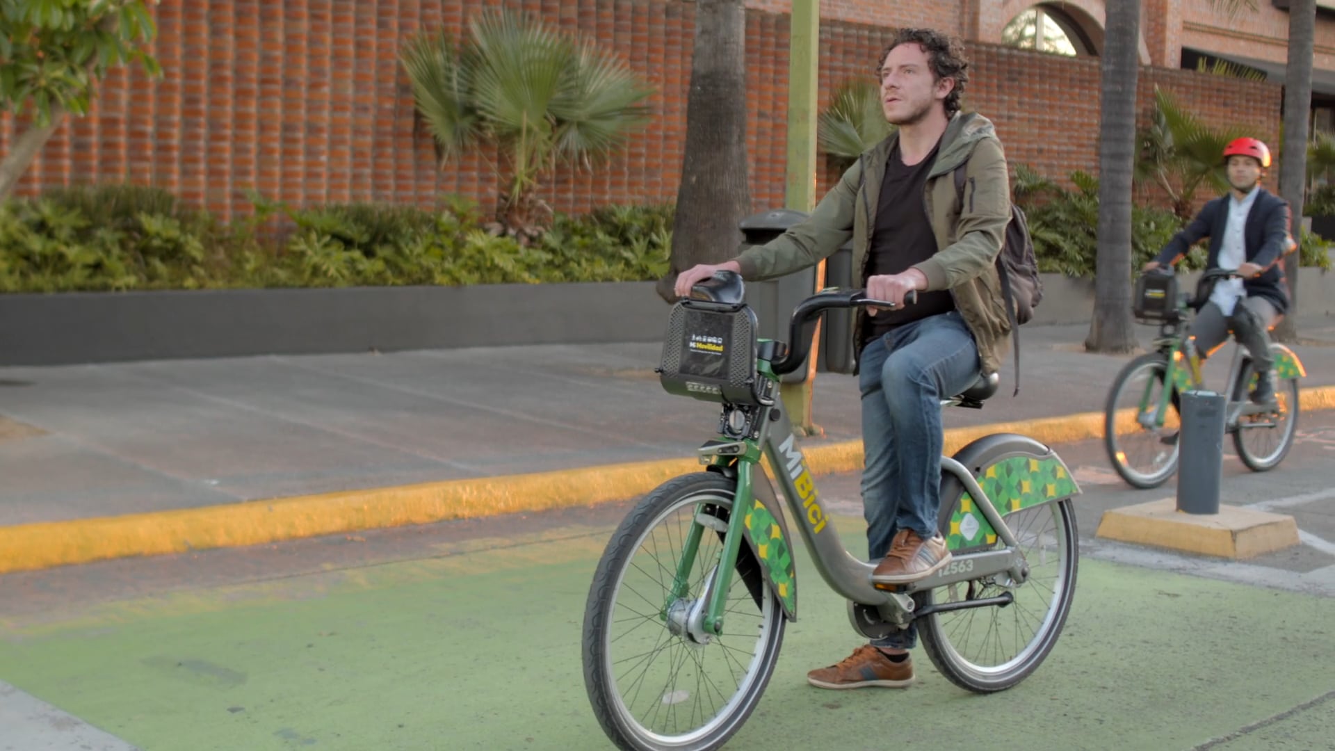 Anatomia de la Calle