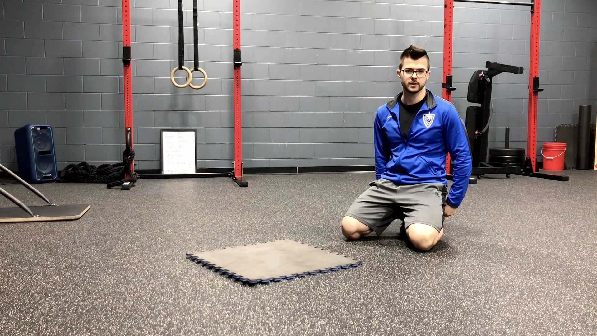 Bird Dogs on Hands and Toes.mov on Vimeo