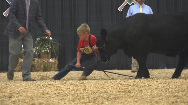 2021 Simmental Junior National