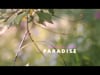 Paratiisi -video