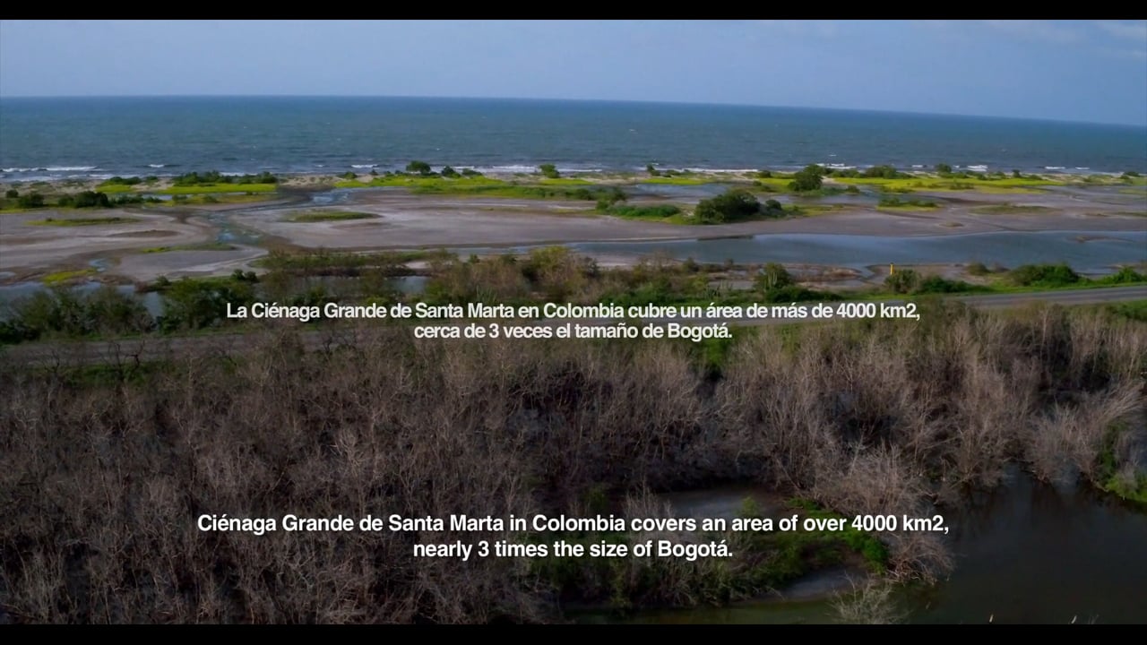 Salobre, a video by Andres Filipe Orjuela Bustillo