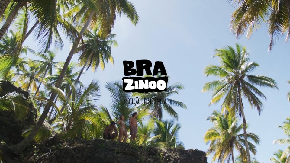 BRAZINCO - Entre o mar e a terra