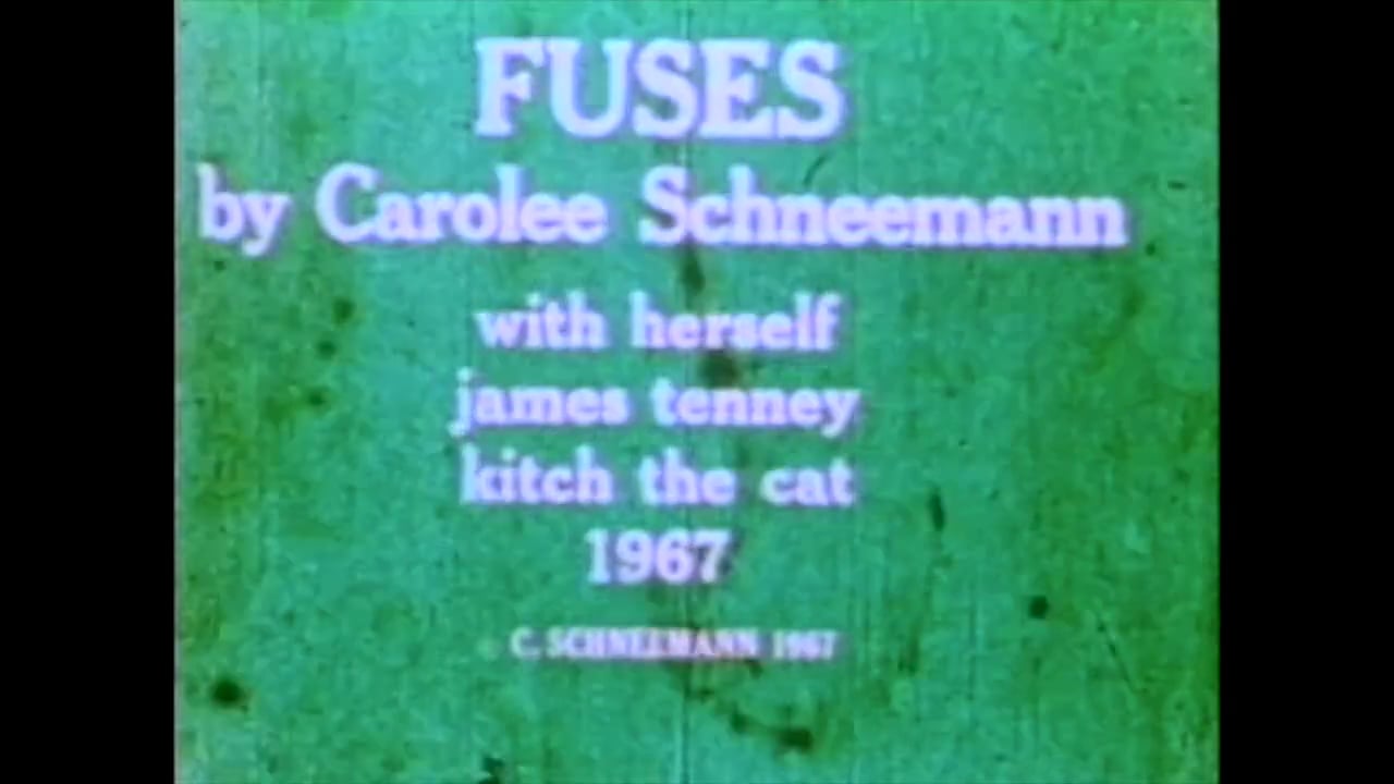 Fuses (Carolee Schneemann, 1964).mp4 on Vimeo