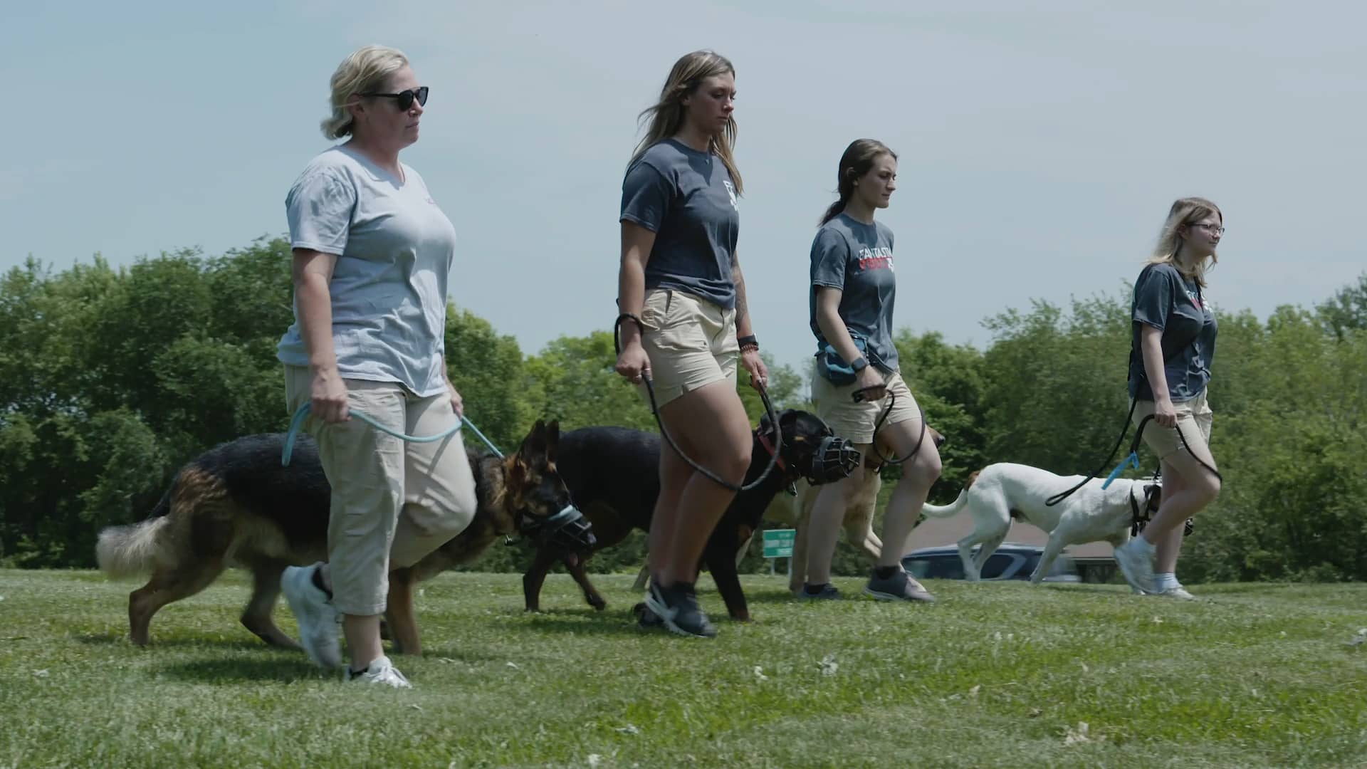 AGGRESSIVE DOG on Vimeo