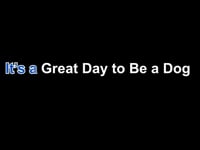 Lyric Video