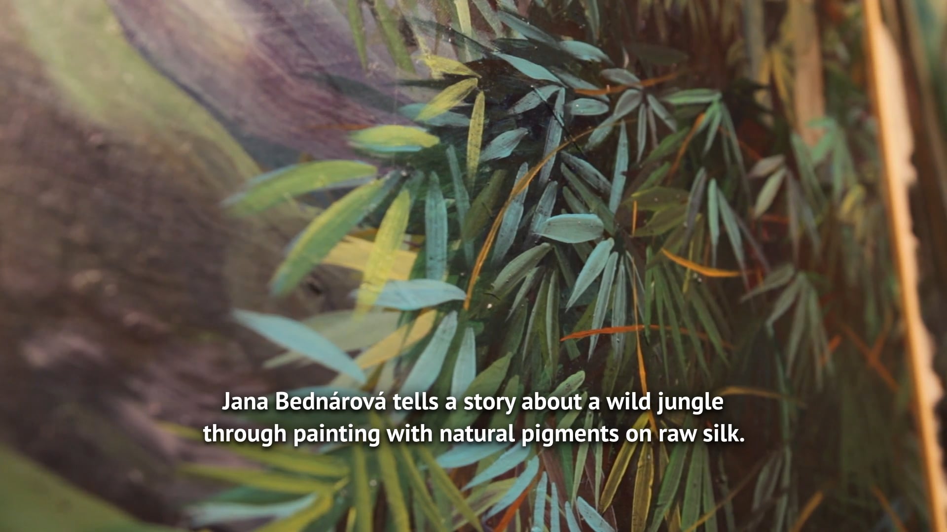 JANA BEDNÁROVÁ ~ Splynúť s divočinou