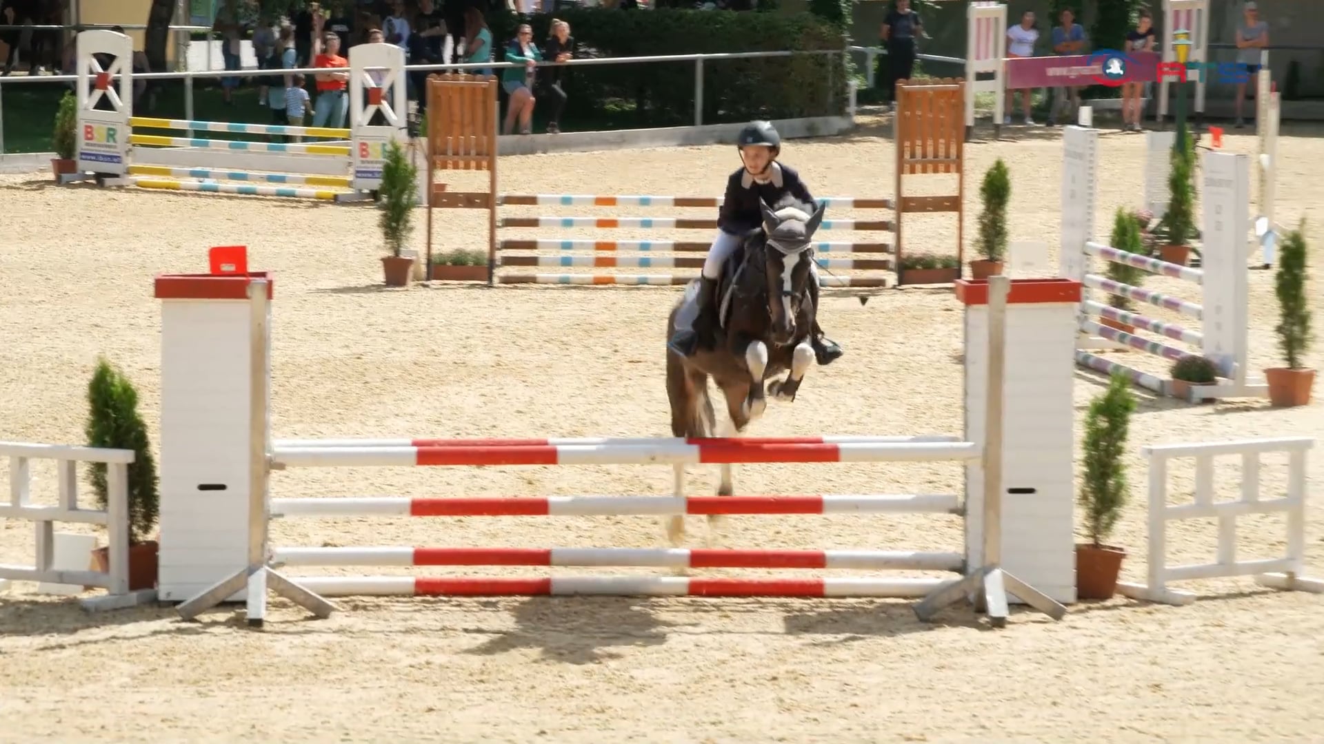 landesmeisterschaft-im-springreiten-in-elixhausen