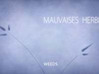 MAUVAISES HERBES